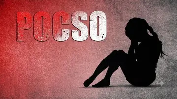 చిట్టితల్లీ.. అతడిక నీ జోలికి రాడు... image 1