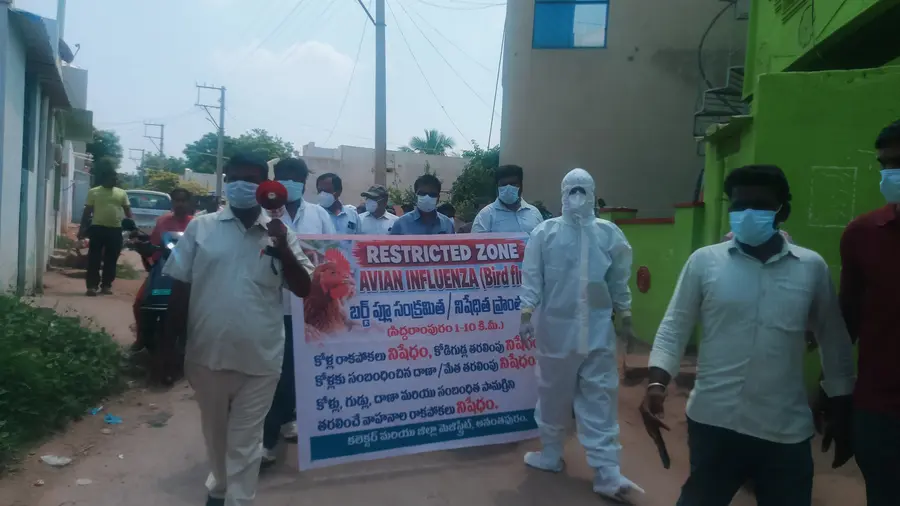 ‘అనంత’లో బర్డ్ ఫ్లూ కలకలం
- రెడ్జోన్గా సిద్ధరాంపురం image 1