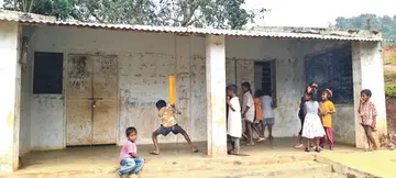 school