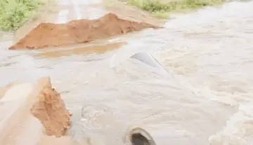 rains