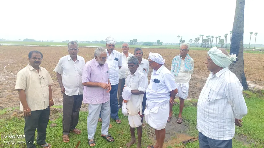ఎల్ నినోపై అధికారుల నిర్లక్ష్యం దారుణం
రైతు సంఘం రాష్ట్ర ప్రధాన కార్యదర్శి కేవీవీ ప్రసాద్ image 1