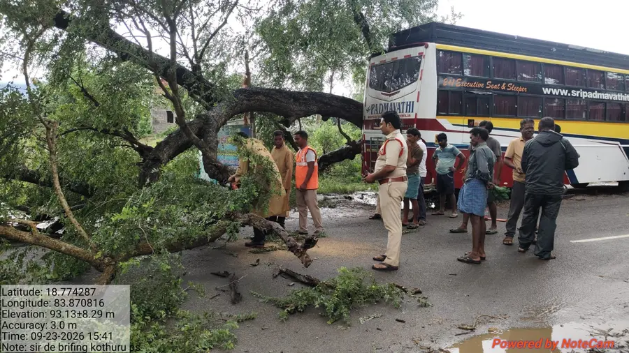 కూలిన భారీ వృక్షం image 1