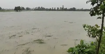 వర్ష బీభత్సంతో సామర్లకోట అతలాకుతలం image 1