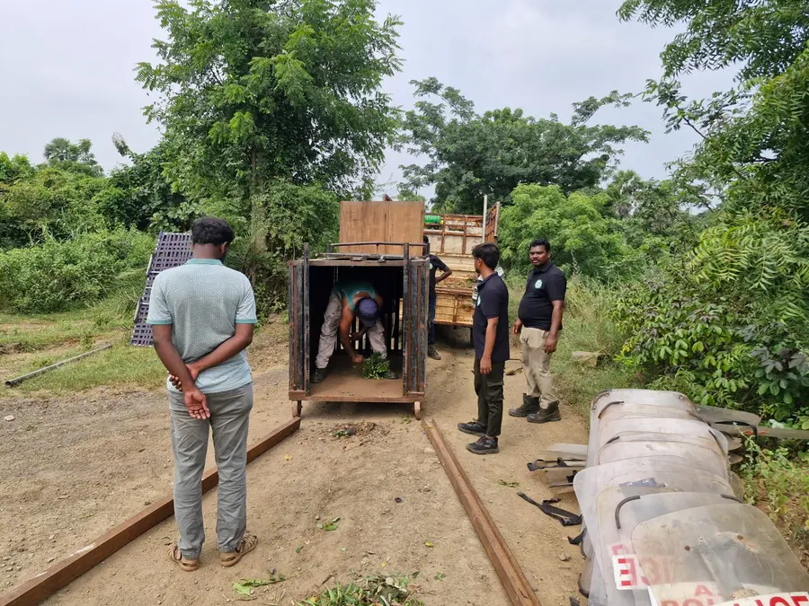 గౌరీపట్నం క్వారీల్లో పెద్దపులి సంచారం image 1
