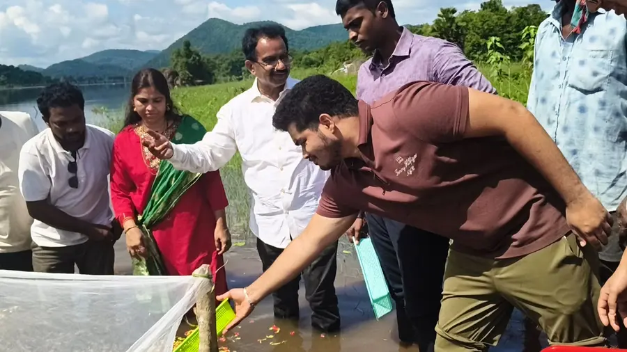 చేపల పెంపకంతో అదనపు ఆదాయం పొందాలి
ఫామ్‌పాండ్ల ఏర్పాటుకు ఉపాధి హామీ ద్వారా సహకారం
జిల్లా కలెక్టర్ కె.దినేష్ కుమార్ image 1