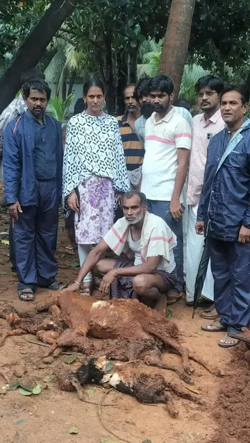 ఉలిక్కిపడిన ఉద్దానం! image 1