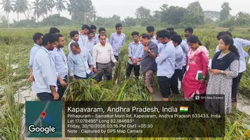 పంటలను పరిశీలించిన వ్యవసాయ కళాశాల విద్యార్థులు image 1