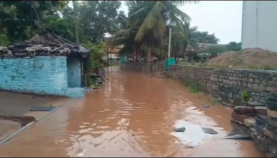1 pnm - gorukallu .jpeg