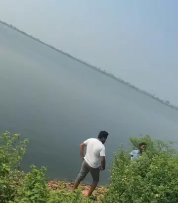 చెరువులో మునిగి అన్నదమ్ముళ్లు మృతి image 1