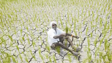 farmers