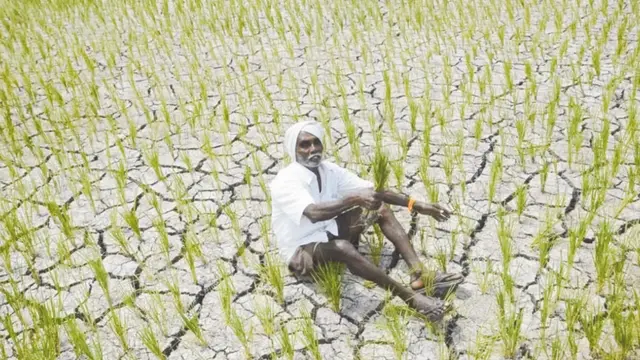 farmers