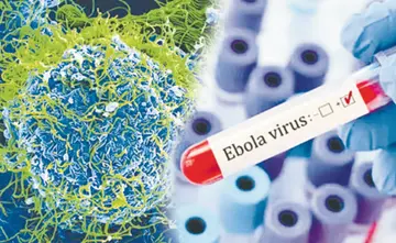 ebola