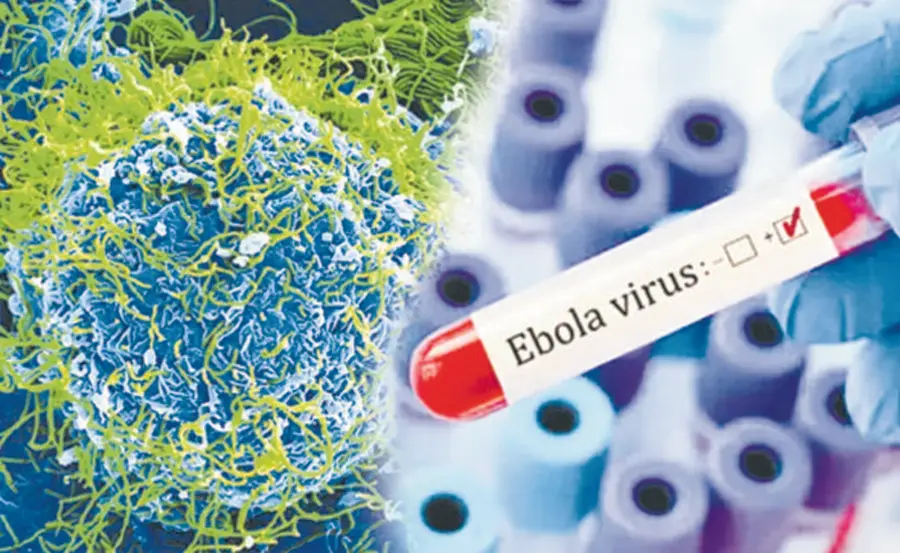 ebola