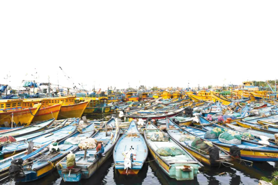 FISHNG HARBOUR (1).jpg