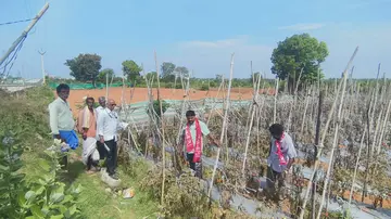 చిత్తూరు, నెల్లూరును కరువు జిల్లాలుగా ప్రకటించాలి
- పంటలను పరిశీలించిన సిపిఎం కరువు బృందం image 1