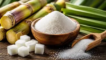 SUGAR.webp