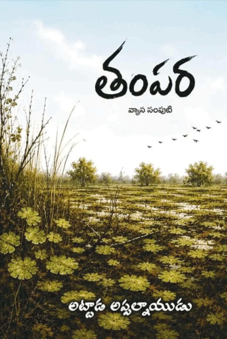 TAMPARA