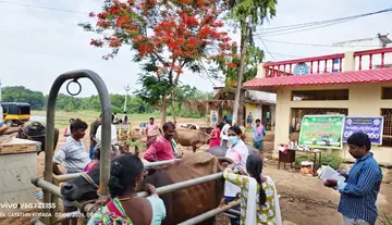 Fodder Awareness Week Celebrations in Ballanki Village