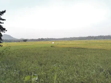 Mandasa Cargo Airport