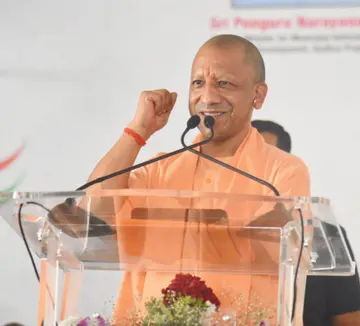 yogi