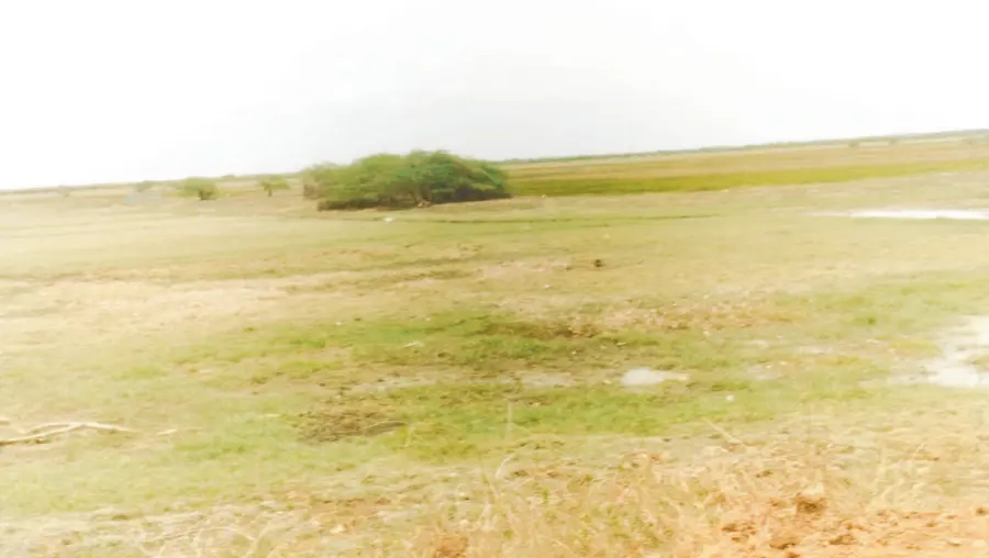 land