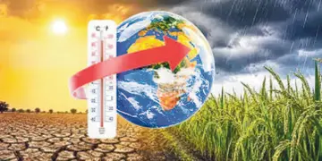 el nino