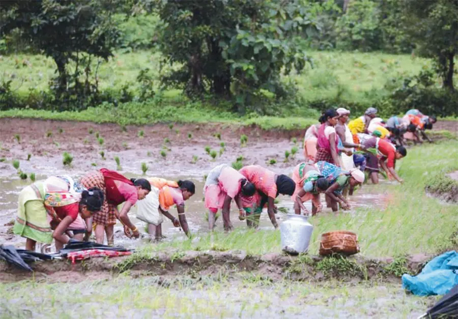 agri workers