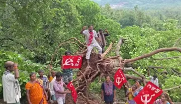 We have suffered losses due to the cyclone please help us Tribal cashew farmers plea