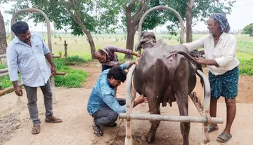 లివర్ శిరోసిస్ వ్యాధిపై అప్రమత్తత అవసరం : వెటర్నరీ ఎడి సత్యనారాయణరావు