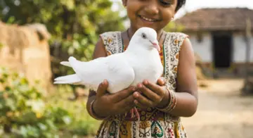 alaparhty vari geyam bomma