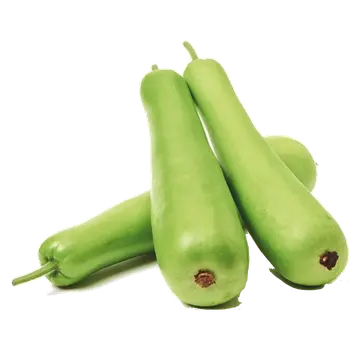 botel gourd.