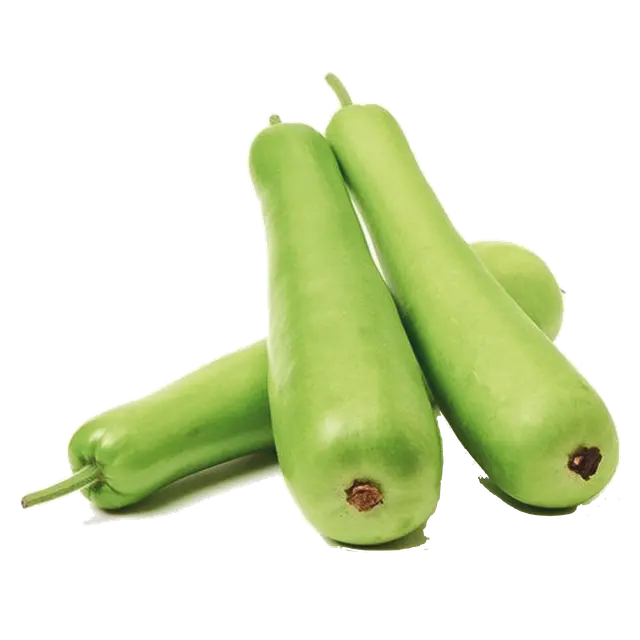 botel gourd.