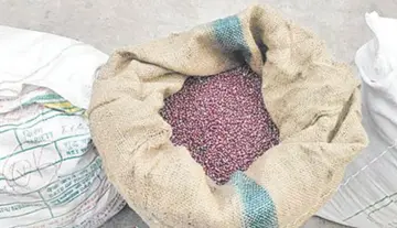 ఖరీఫ్‌‌ సాగు వేళ…గ్లైసెల్‌ ‌తంత్రాంగం!