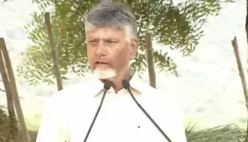We will provide rehabilitation to farmers affected by the Veligonda project: CM Chandrababu.