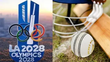cricket