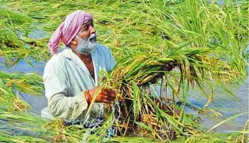 Farmers in North Andhra affected by the cyclone must be supported: CPI(M)