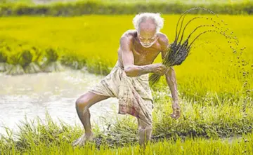 farmers