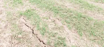 farm land
