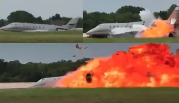 flight