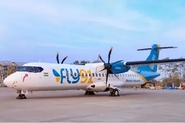 fly 91.webp