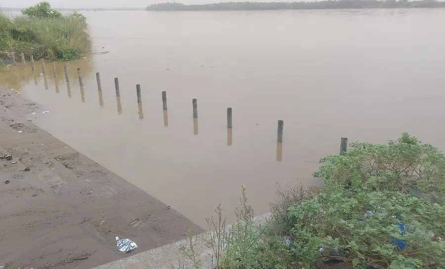 godavari flood