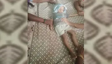 Boy dies after falling under school bus