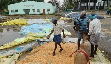 rains