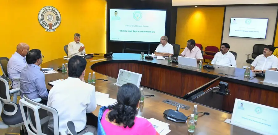 cm cbn