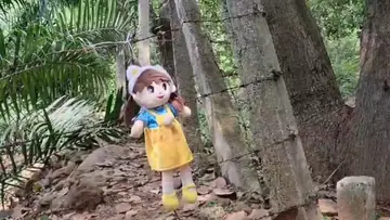 missing case