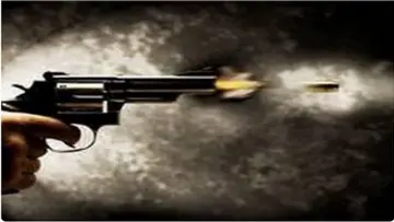 gun