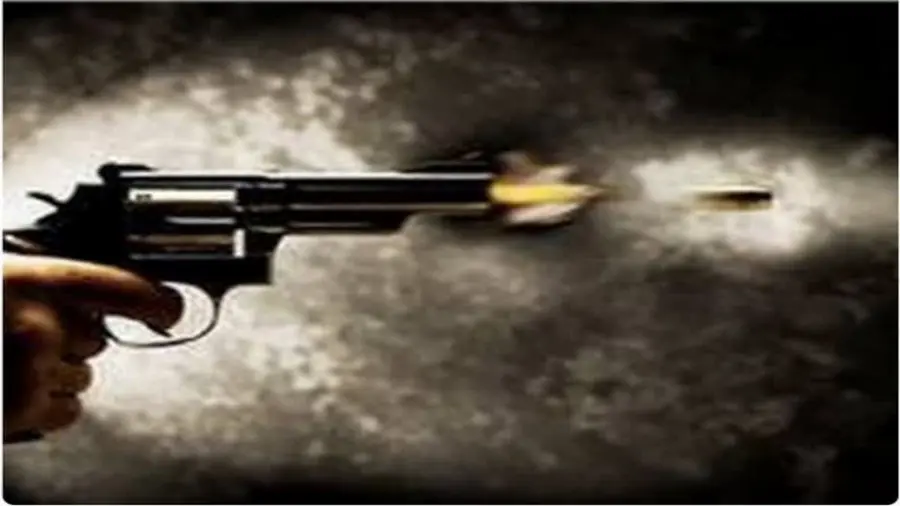 gun