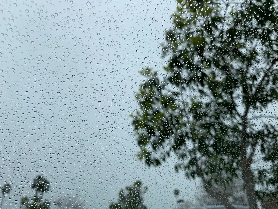 rains
