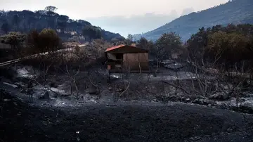 fire