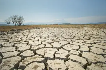 no rains